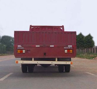 Era  BJ1202V6PEC Truck