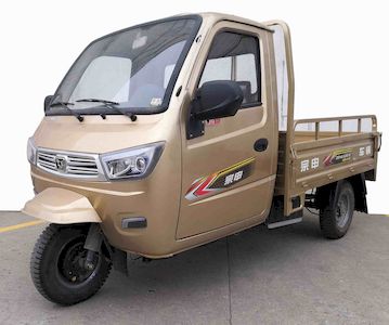 Zongshen brand automobiles ZS200ZH12H right three-wheeled motorcycle 