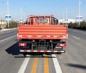 Foton  BJ1128VGJEAF1 Truck