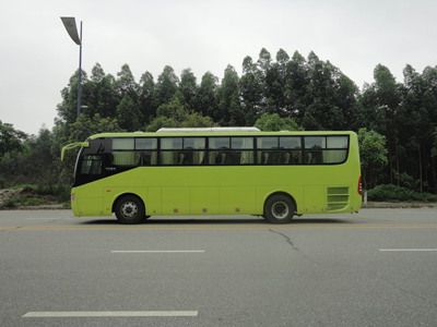 Feichi  FSQ6106DC coach