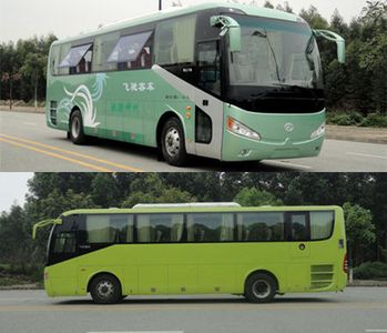 Feichi  FSQ6106DC coach