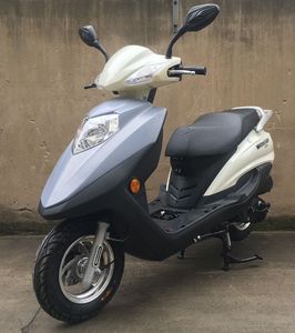 Wangjiang  WJ125T21 Two wheeled motorcycles