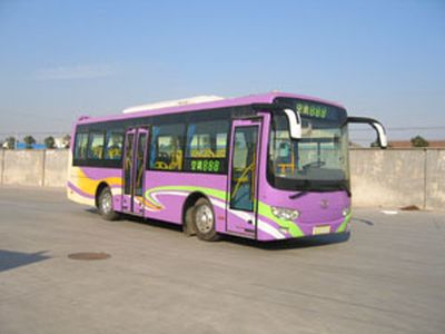 Peony  MD6890LDJ City buses