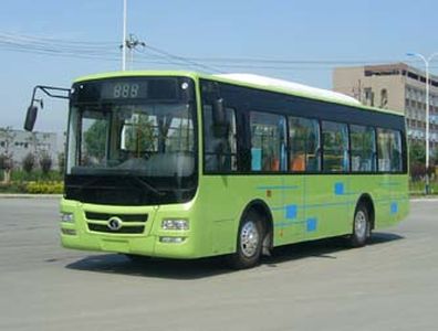 Shudu  CDK6981CA1 City buses