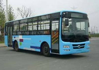 Shudu  CDK6981CA1 City buses