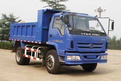 Foton  BJ3168DLJFA1 Dump truck