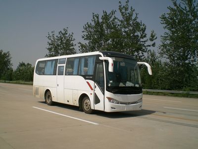 Jinlong  XMQ6859Y coach