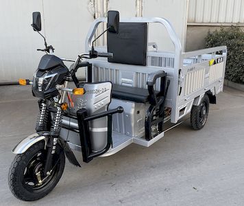 Jinpeng  JP1500DZH20 Electric tricycle