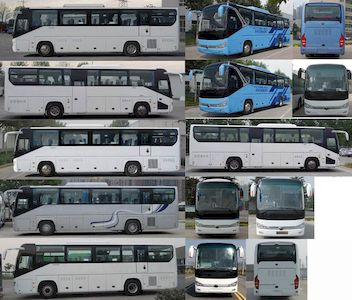 Yutong  ZK6119BEVQY18P2 Pure electric passenger cars