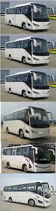 Jinlong  XMQ6829AYD5C coach