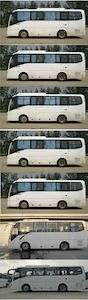 Jinlong  XMQ6829AYD5C coach