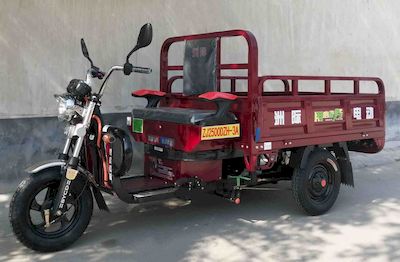 Intercontinental  ZJ2500DZH3A Electric tricycle