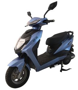 Europa  OP600DQT3 Electric two wheeled light motorcycle