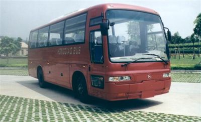 Hongqiao  HQK6900J coach