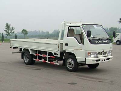 Era  BJ1046V8JW4 Truck