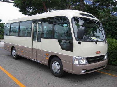 Nanjun  CNJ6711LQDM coach