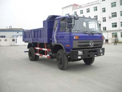 Huashen  DFD3121G2 Dump truck