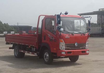 Ace car CDW3081HA2Q4 Dump truck