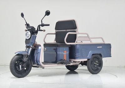 Tailing  TL1200DZH24 Electric tricycle