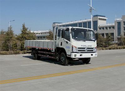 Foton  BJ1133VJPFGL1 Truck