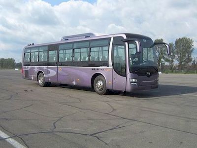 Huanghai  DD6129K65 coach