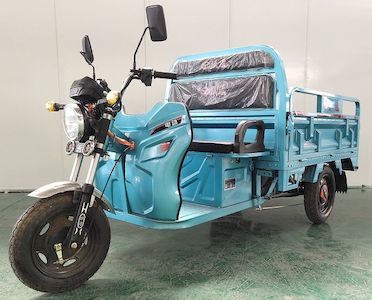 Yanjiang  YJ1200DZH Electric tricycle