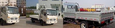 Ouling  ZB1040JDD6F Light truck