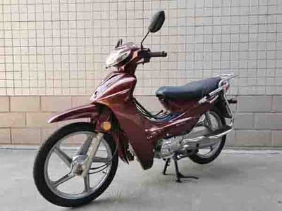 Wangjiang  WJ1102 Two wheeled motorcycles