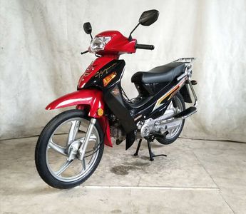 Wangjiang  WJ1102 Two wheeled motorcycles