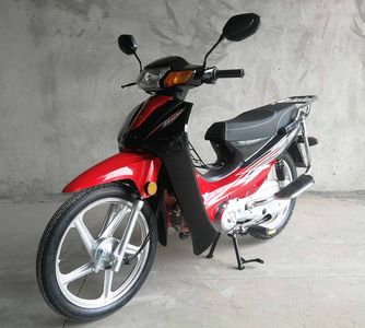 Wangjiang  WJ1102 Two wheeled motorcycles