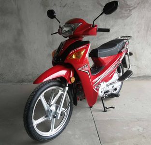 Wangjiang  WJ1102 Two wheeled motorcycles