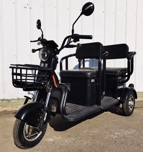 Tapu  TP1200DZK Electric tricycle