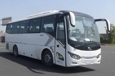 Jinlong  XMQ6905AYD6C1 coach