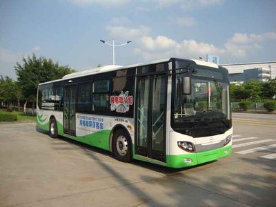 Wuzhoulong  FDG6113EVG5 Pure electric city buses