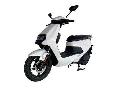 Ruishi  RS3000DT7A Electric two wheeled motorcycle