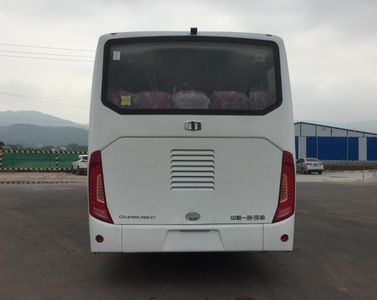 Zhongzhi Automobile CDL6100LRBEV1 Pure electric passenger cars