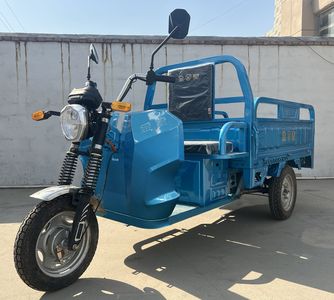 Jin Huang  JH1500DZH Electric tricycle