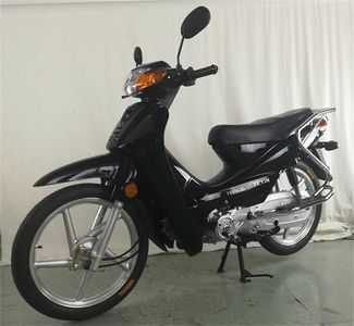 Tianying  TY1102D Two wheeled motorcycles