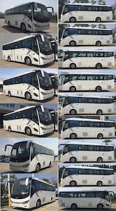 Jinlong  XMQ6901AYN5D coach