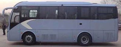 Jinlong  XMQ6901AYN5D coach