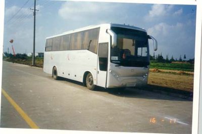 Medium to large YCK6103HGcoach