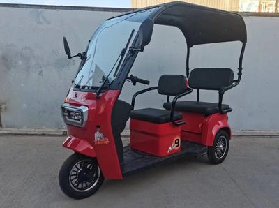 Yulong Motors YL1000DZKH Electric tricycle