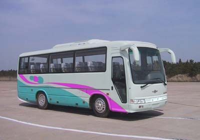 Huling brand automobiles HL6794CRE coach