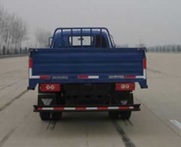 Foton  BJ1101VEJFDS Truck