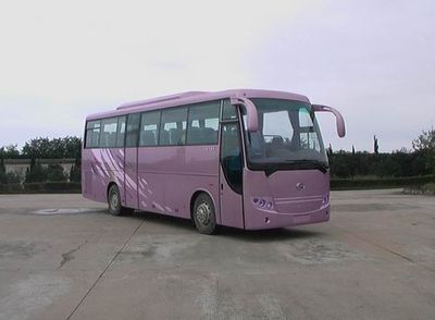 Jinlong  XMQ6100F1 Tourist buses