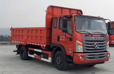 Dayun  DYQ3111D6AB Dump truck