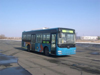 Huanghai  DD6892S02 City buses