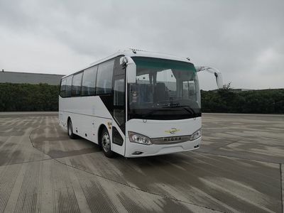 HagridKLQ6889KAE60coach