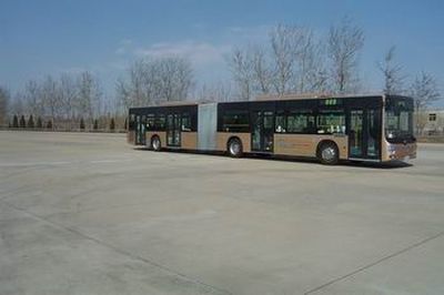 Huanghai  DD6186S01 City buses