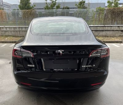 Tesla TSL7000BEVAR6 Pure electric sedan